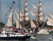 Sail Amsterdam 2015  (c) Henk Melenhorst : Amsterdam, Sail, Sail Amsterdam