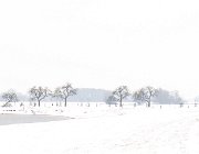 Panorama Keizers- en Stobbenwaarden, Deventer : sneeuw, uiterwaarden