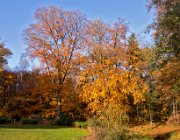 Nieuw Rande, Diepenveen  (c) Henk Melenhorst : Nieuw Rande, Deventer, herfst