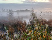 Haaksbergerveen  (c) Henk Melenhorst : Haaksbergerveen