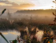 Haaksbergerveen  (c) Henk Melenhorst : Haaksbergerveen