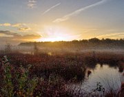 Haaksbergerveen  (c) Henk Melenhorst : Haaksbergerveen