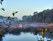 Haaksbergerveen  (c) Henk Melenhorst : Haaksbergerveen