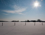 Uiterwaarden, Olst  (c) Henk Melenhorst : sneeuw, winter, uiterwaarden